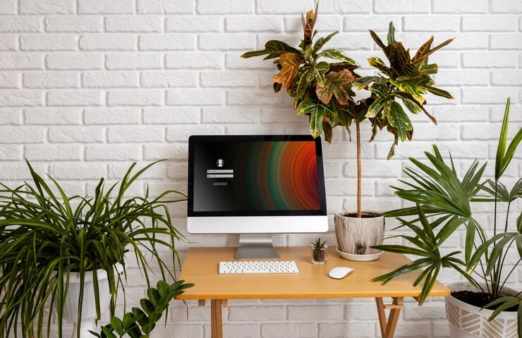 Pronetspace Product Image - ordinateur bureau Mac