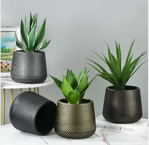 Pronetspace Product Image - grandes plantes d'extérieur