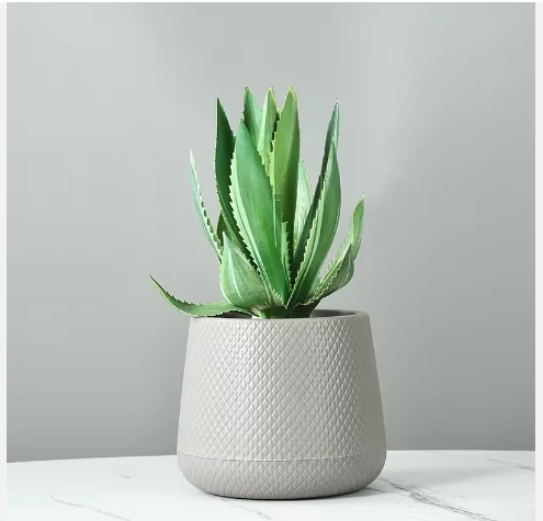Pronetspace Product Image - grandes plantes d'extérieur
