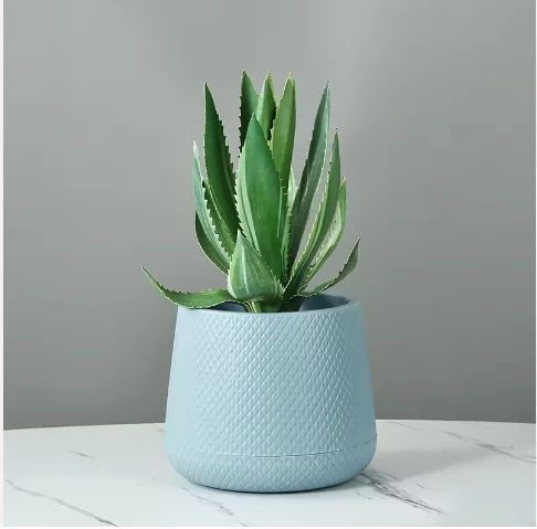 Pronetspace Product Image - grandes plantes d'extérieur
