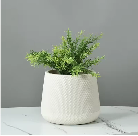 Pronetspace Product Image - grandes plantes d'extérieur