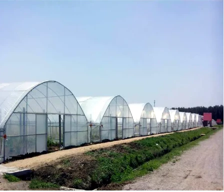 Pronetspace Product Image - Serre tunnel agricole et agricole commerciale à haute résistance