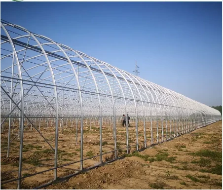 Pronetspace Product Image - Serre tunnel agricole et agricole commerciale à haute résistance