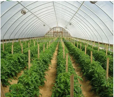 Pronetspace Product Image - Serre tunnel agricole et agricole commerciale à haute résistance