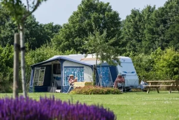 Pronetspace Product Image - CampGround center