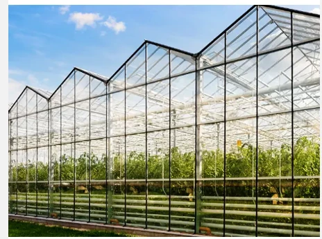 Pronetspace Product Image - Serre agricole commerciale à travées multiples