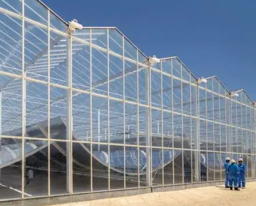 Pronetspace Product Image - Serre agricole commerciale à travées multiples