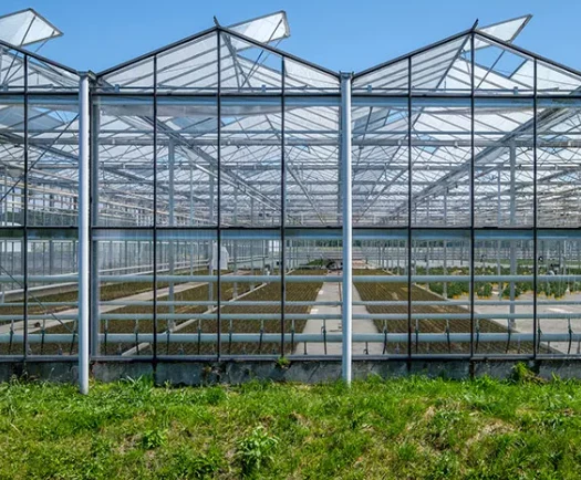 Pronetspace Product Image - Serre agricole commerciale à travées multiples