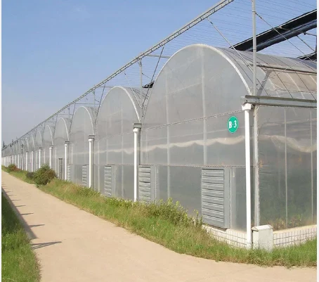 Pronetspace Product Image - Large Size High Tunnel Agricultural Greenhouse for Tomato