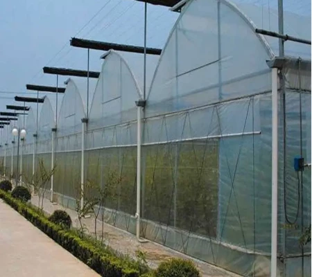 Pronetspace Product Image - Large Size High Tunnel Agricultural Greenhouse for Tomato