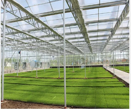 Pronetspace Product Image - Large Size High Tunnel Agricultural Greenhouse for Tomato