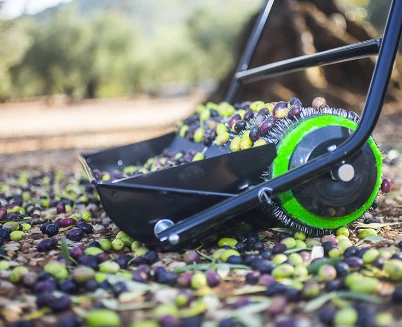 Pronetspace Product Image - Ramasseuse d’olives manuelle