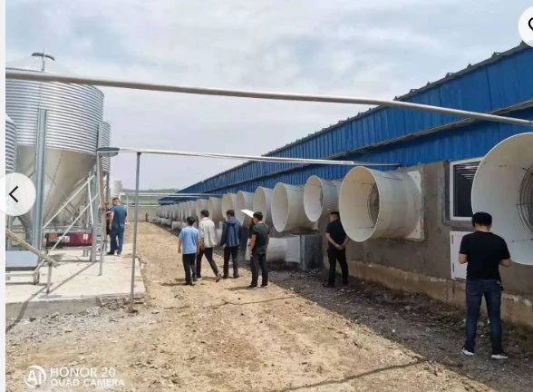 Pronetspace Product Image - Tour d'alimentation pour stockage de céréales