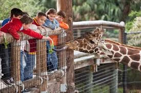 Pronetspace Product Image - Zoo Park