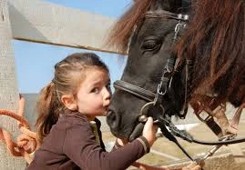 Pronetspace Product Image - Equitation club