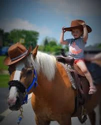 Pronetspace Product Image - Equitation club