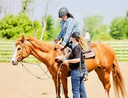 Pronetspace Product Image - Equitation club