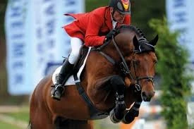 Pronetspace Product Image - Equitation club