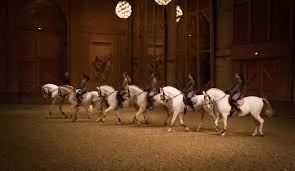 Pronetspace Product Image - Equitation club
