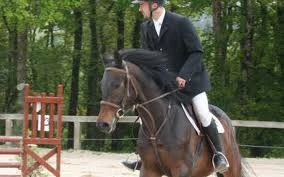 Pronetspace Product Image - Equitation club
