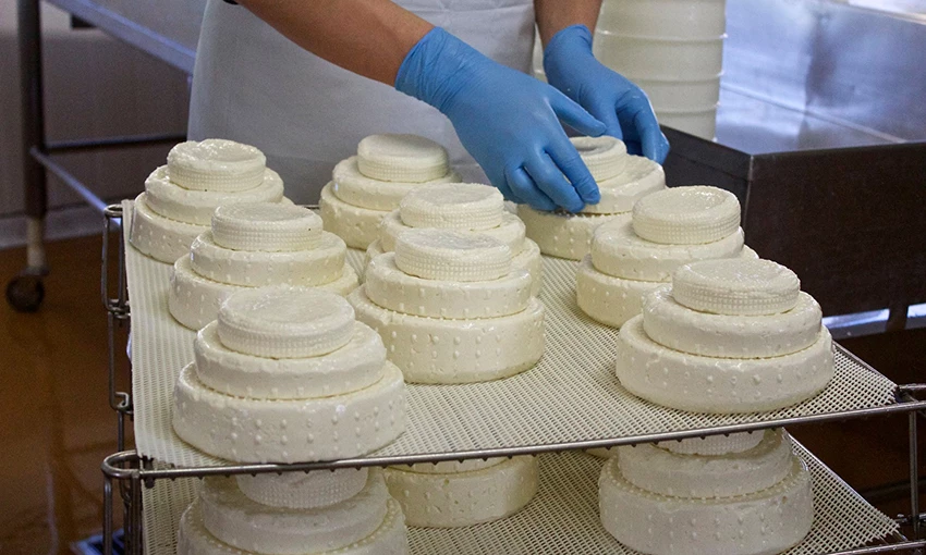 Pronetspace Product Image - Fromages Tunisien