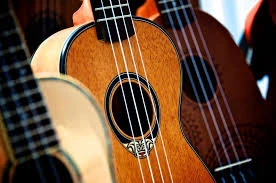 Pronetspace Product Image - Instrument de musique
