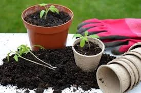 Pronetspace Product Image - Engrais Naturel 