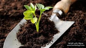 Pronetspace Product Image - Engrais Naturel 