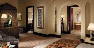 Pronetspace Product Image - Hôtel de luxe 