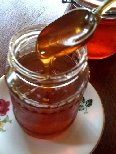 assaltounsi