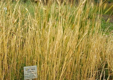 Store -                                                 les ressources naturelle