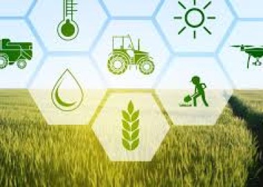 Store - agriculture by Wissem
